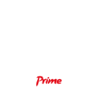 logo_touro_prime